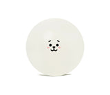 BT21 Gym Ball