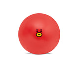 BT21 Gym Ball
